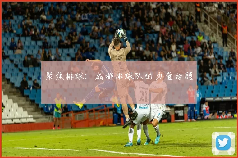 聚焦排球：成都排球队的力量话题