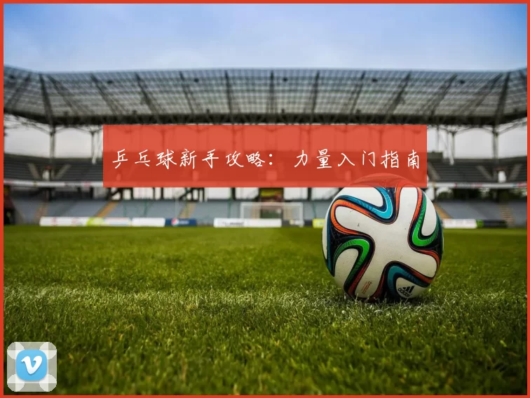 乒乓球新手攻略：力量入门指南