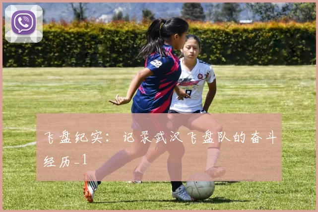 飞盘纪实：记录武汉飞盘队的奋斗经历_1